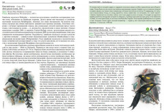 Вымершие птицы мира: Сокращение биологического разнообразия в эпоху экспансии человечества - Фото 3