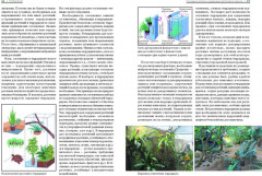 Террариум: вчера, сегодня, завтра - Фото 2