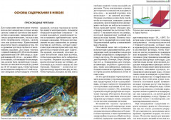 Террариум: вчера, сегодня, завтра - Фото 3