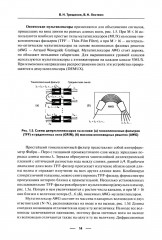 DWDM-системы - Фото 10