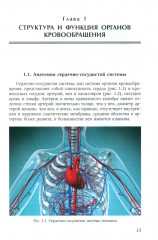 Пороки сердца: порок аортального клапана - Фото 3