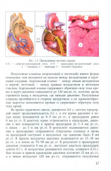 Пороки сердца: порок аортального клапана - Фото 7