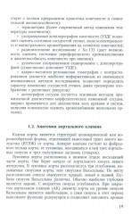 Пороки сердца: порок аортального клапана - Фото 9