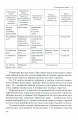 Основы ортодонтии - Фото 7
