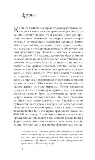 Тайная жизнь деревьев. Что они чувствуют, как они общаются — открытие сокровенного мира