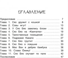 Приключения совёнка Сяо Бяо - Фото 1