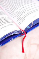 Светлый пепел луны. Книга 1 (коллекционное издание) - Фото 12