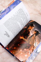 Светлый пепел луны. Книга 1 (коллекционное издание) - Фото 15