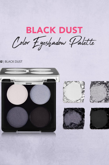 Палетка теней для век «Color Eyeshadow Palette», оттенок 002 Black Dust
