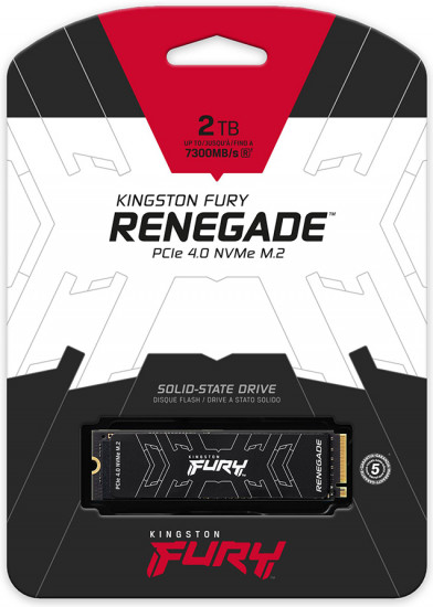 Твердотельный накопитель SSD Kingston SFYRSK