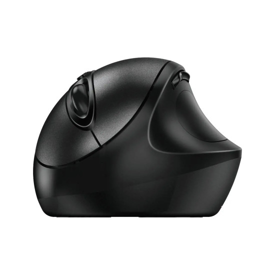 Мышь компьютерная Genius Ergo 8300S