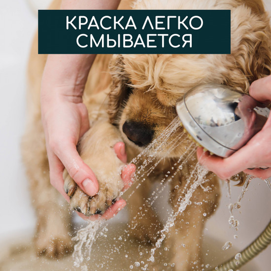 Набор для творчества «Лапки собачки»