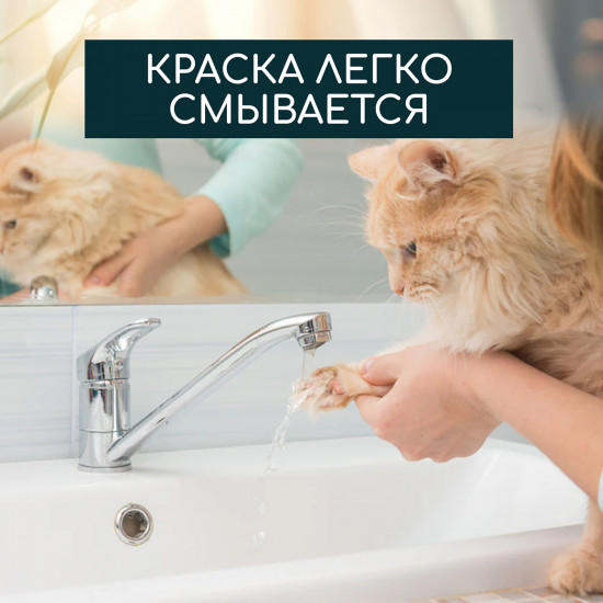 Набор для творчества «Лапки кошки»