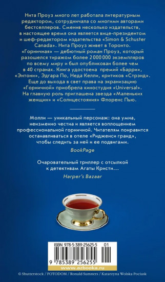 Таинственный гость
