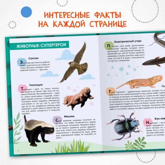 Детская энциклопедия. Животные