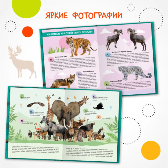Детская энциклопедия. Животные
