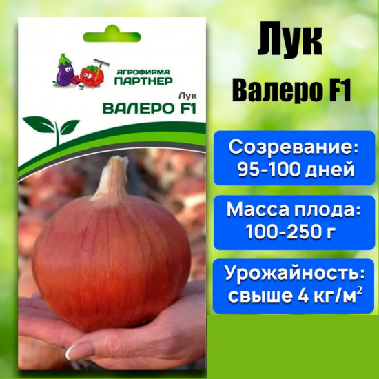 Лук репчатый «Валеро F1»