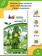 Огурец «Хитрец F1» - Фото 1