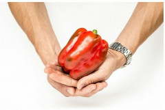 Перец сладкий «Халиф F1» - Фото 3