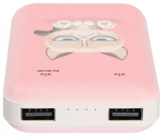 Аккумулятор внешний RPB-10007 Grumpy Cat