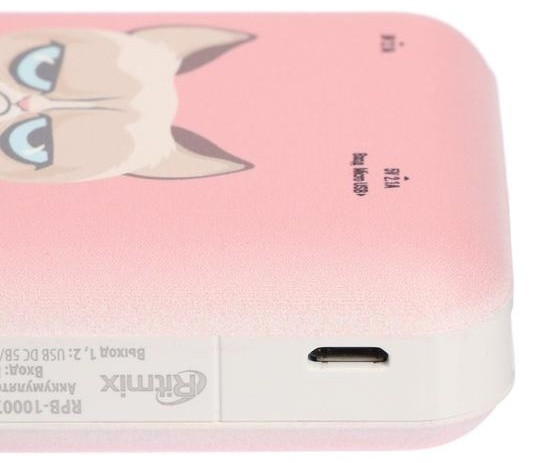 Аккумулятор внешний RPB-10007 Grumpy Cat