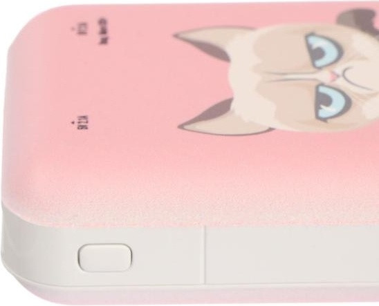 Аккумулятор внешний RPB-10007 Grumpy Cat
