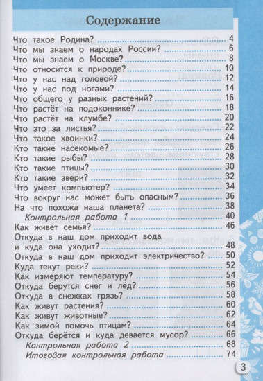 Окружающий мир 1 класс. Самостоятельные и контрольные работы. Часть 1