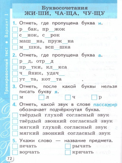 Русский язык. 1 класс. Самостоятельные и контрольные работы