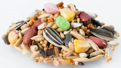 Корм для средних попугаев «Сильвер» - Фото 1