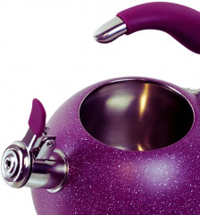 Чайник со свистком «Mystery» - Фото 1