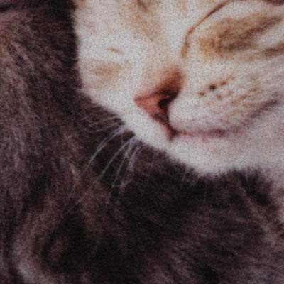 Коврик влаговпитывающий «Милота. Котята»