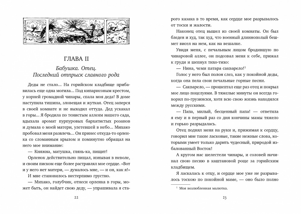 Княжна Джаваха | Любимые книги детства с иллюстрация | Фото 2