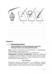 Биология. 6 класс. Рабочая тетрадь - Фото 7