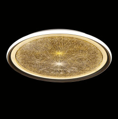 Светильник потолочный - Фото 2