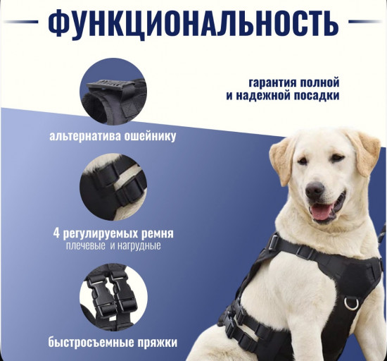 Шлейка для собак