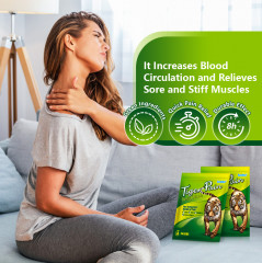 Набор обезболивающих пластырей с тигровым бальзамом «Tiger Relief Patch» - Фото 2