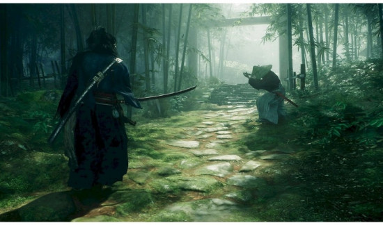Видеоигра «Rise Of Ronin RUS»