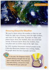 Wild Weather - Фото 2