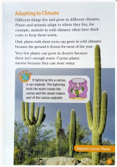 Wild Weather - Фото 4