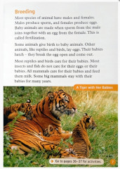 Animal Life Cycles - Фото 3