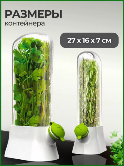 Контейнер для хранения свежей зелени