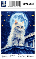 Картина по номерам «Звездная ночь» - Фото 1