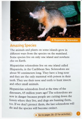 All About Islands - Фото 3