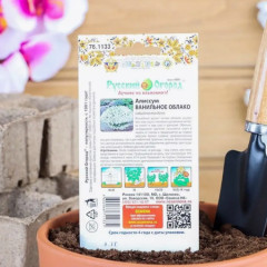 Семена алиссума «Ванильное облако» - Фото 1