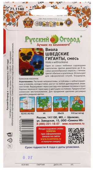 Виола «Шведские Гиганты»