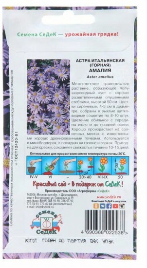 Семена астры «Итальянская Амалия»