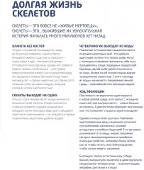 Чей это скелет? - Фото 4