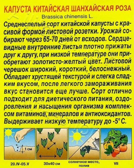 Семена капусты китайской «Шанхайская роза»