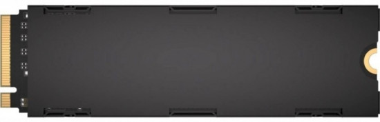 SSD накопитель F1000GBMP700PRO 
