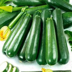 Семена кабачков цукини «Пират» - Фото 2